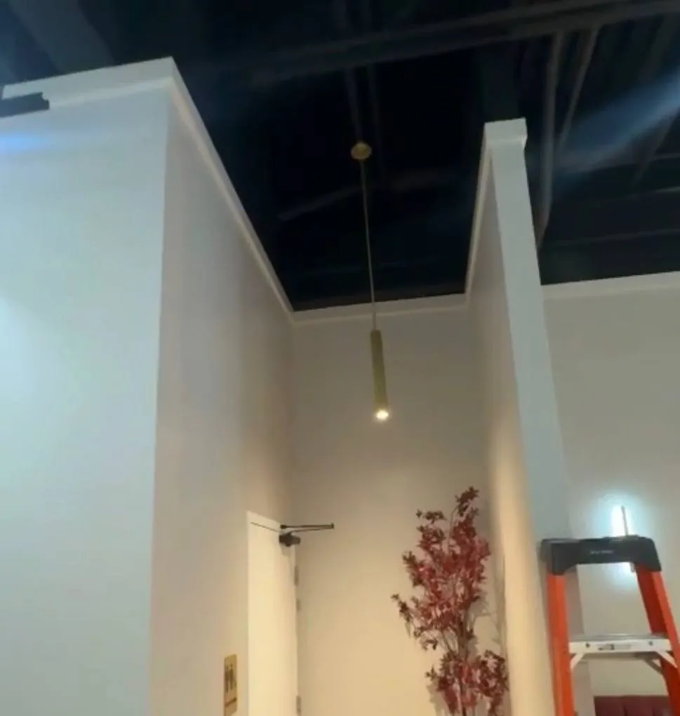 Slim pendant light hanging in a high-ceiling commercial entry